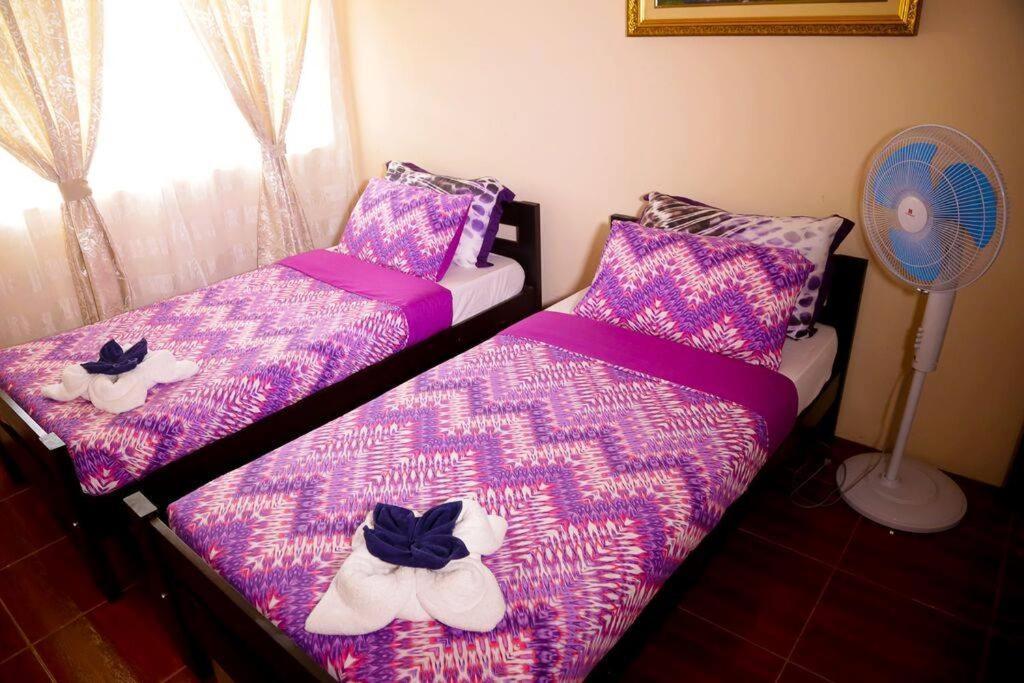 Florabells Iraya Guest House - Batanes Basco Extérieur photo
