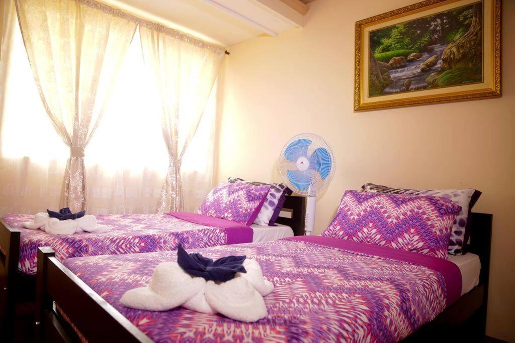 Florabells Iraya Guest House - Batanes Basco Extérieur photo